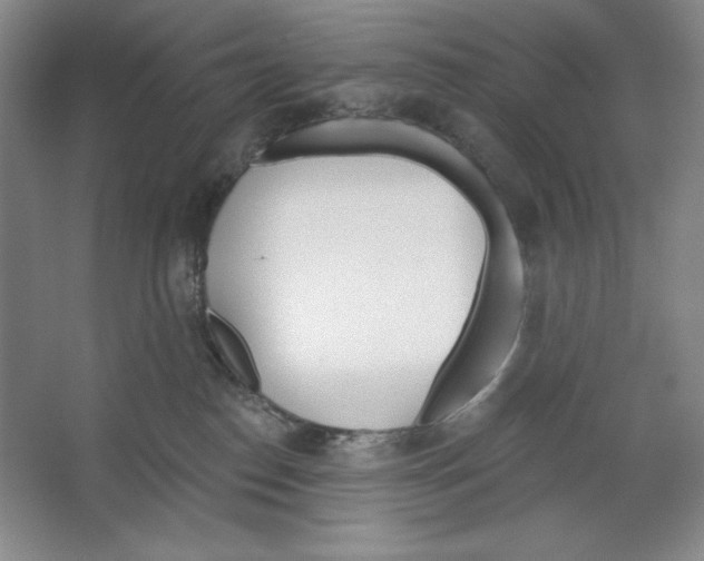 X0000067330186200604281428