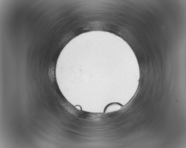 X0000067330190200604281428
