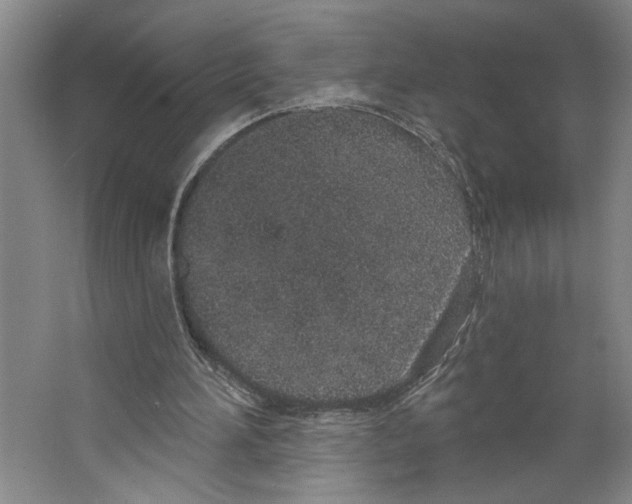 X0000067330196200604281428