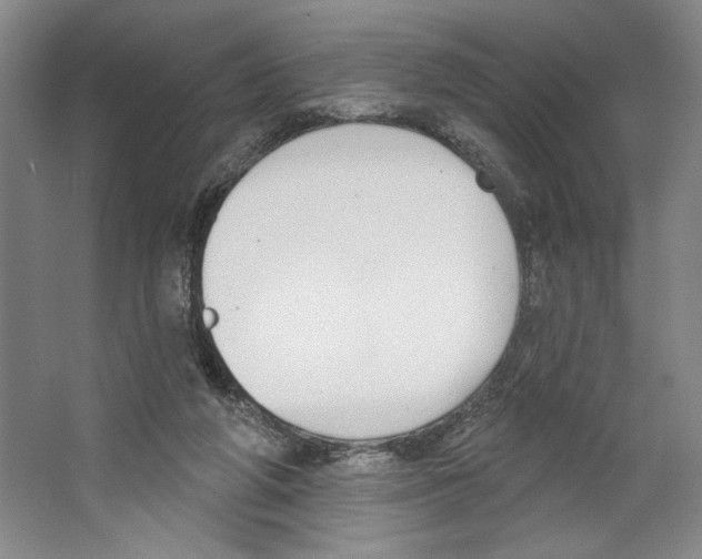 X0000067330210200604281427
