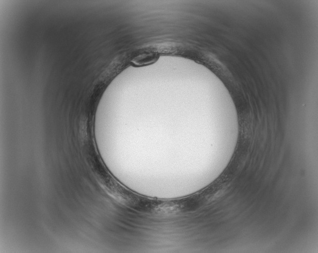 X0000067330213200604281427