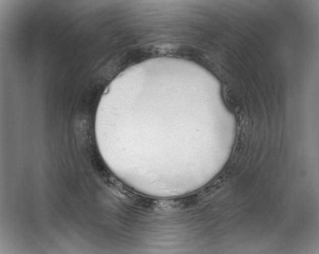 X0000067330222200604281427