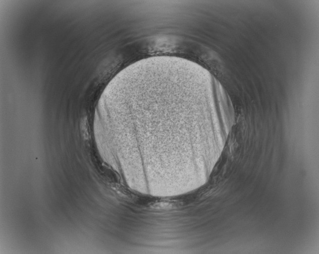 X0000067330224200604281427