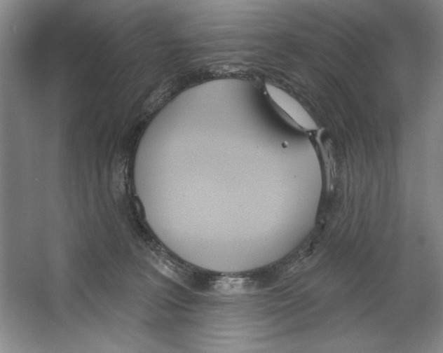 X0000067330227200604281427