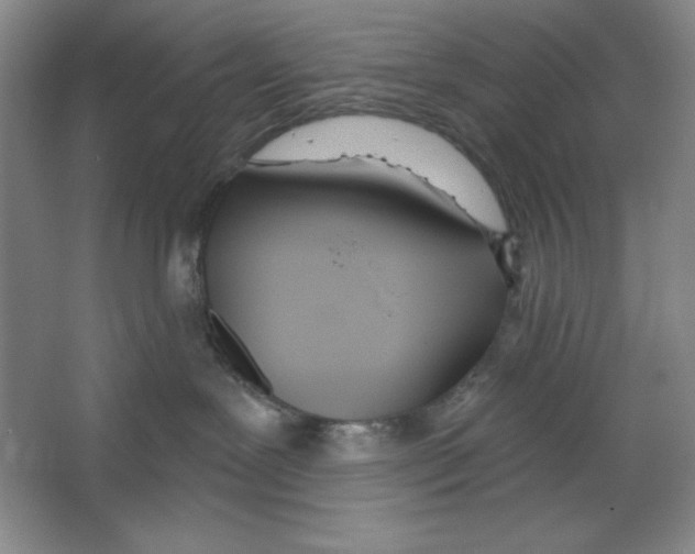 X0000067330239200604281427