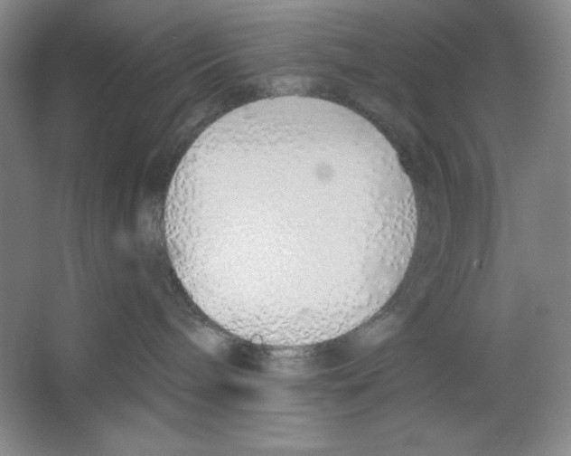 X0000067330240200604281427