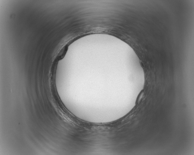 X0000067330242200604281426