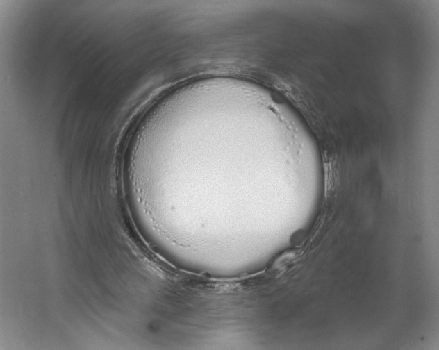 X0000067330243200604281426