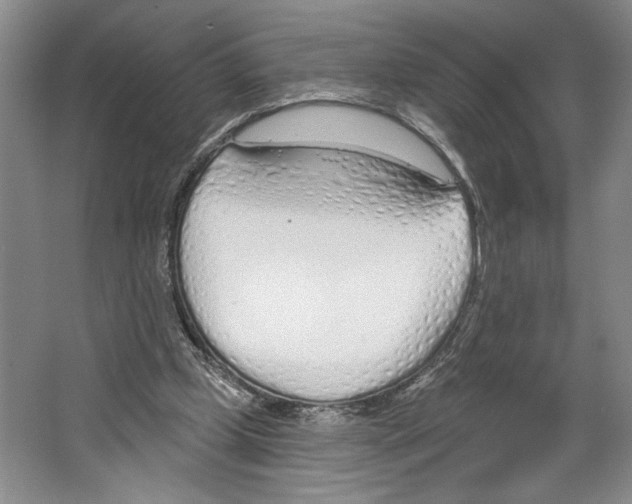 X0000067330249200604281426