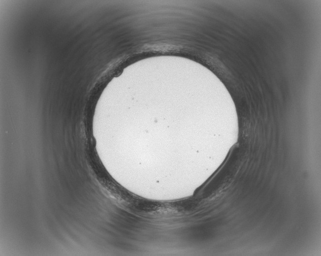 X0000067330256200604281426