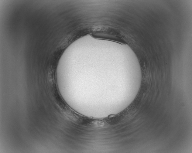 X0000067330272200604281427