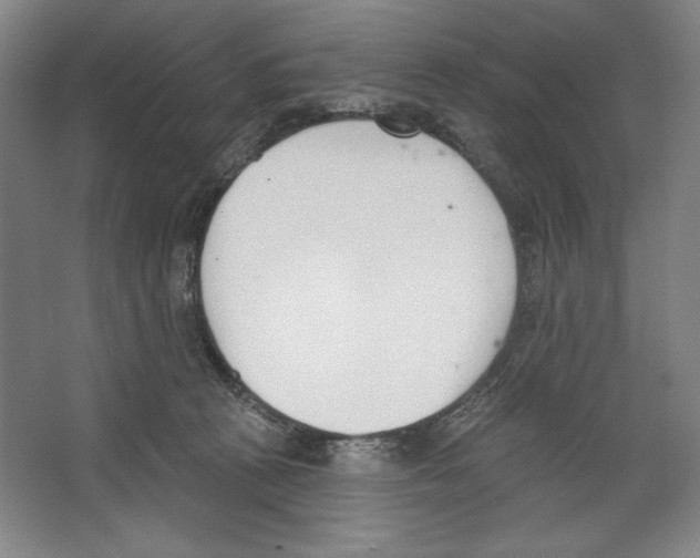 X0000067330273200604281427