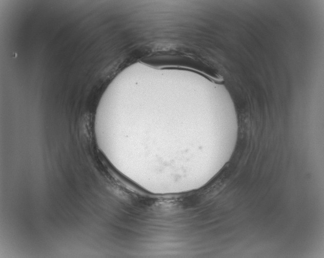 X0000067330280200604281427