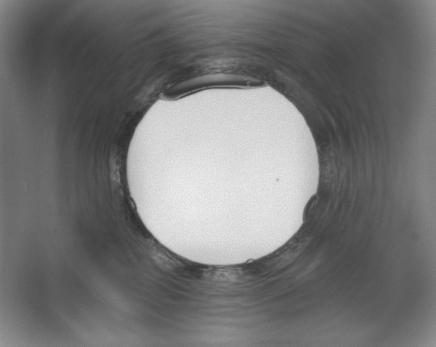 X0000067330282200604281427