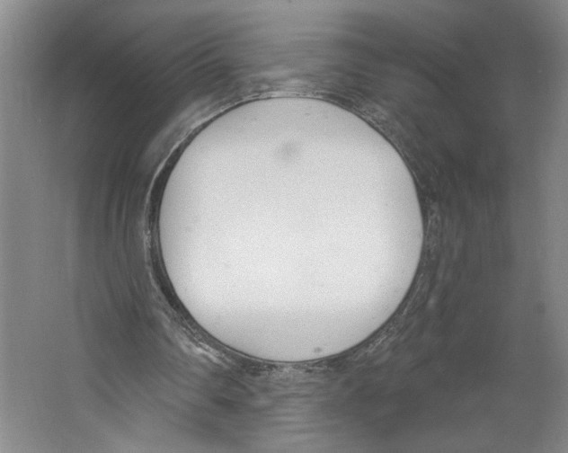 X0000067330290200604281426