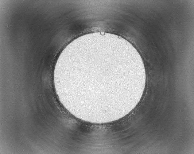 X0000067330297200604281426