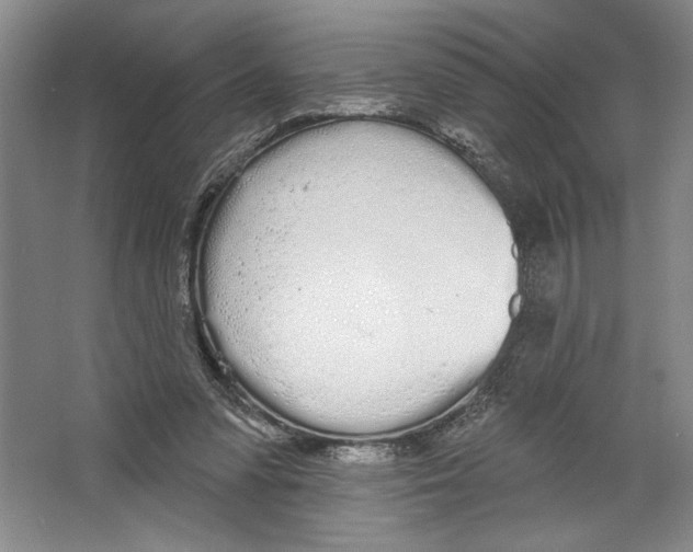 X0000067330303200604281426