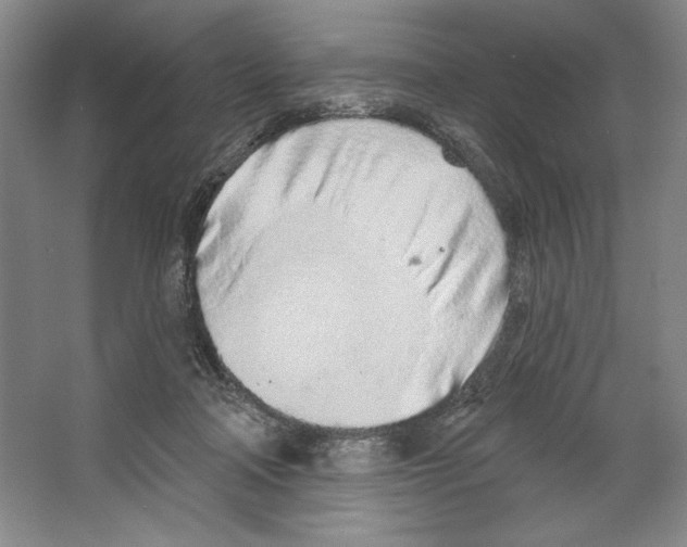 X0000067330314200604281426