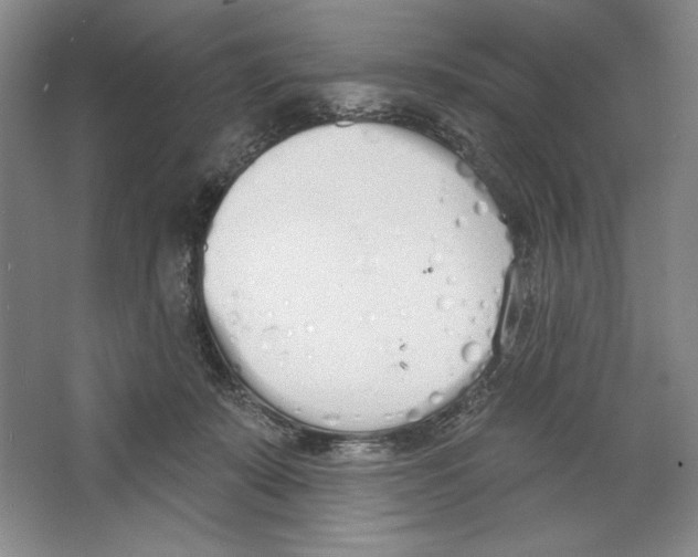 X0000067330319200604281426