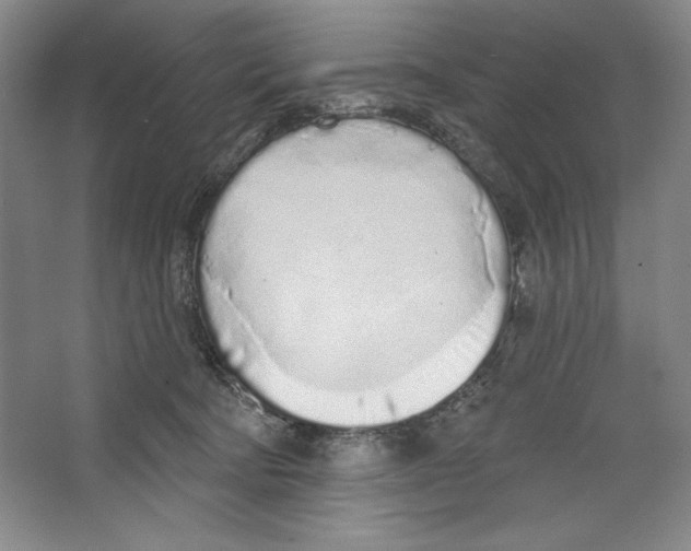 X0000067330322200604281425