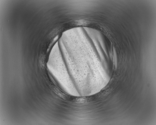 X0000067330325200604281425