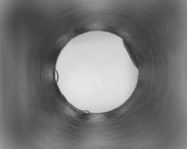 X0000067330334200604281425