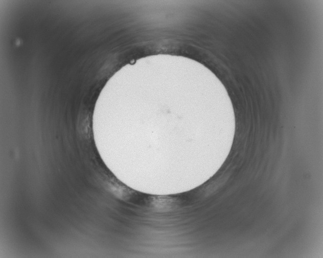 X0000067330336200604281425