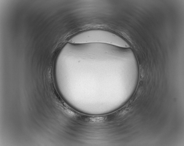 X0000067330357200604281425