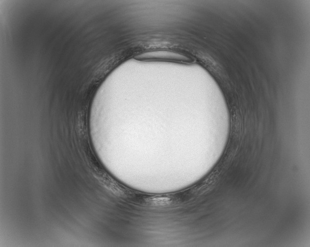 X0000067330361200604281425