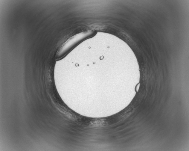 X0000067330362200604281425