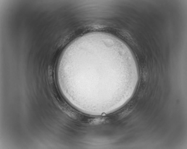 X0000067330366200604281425