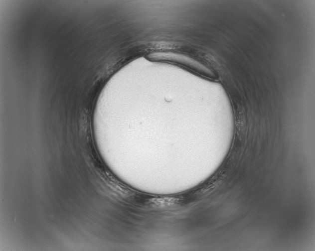 X0000067330367200604281425