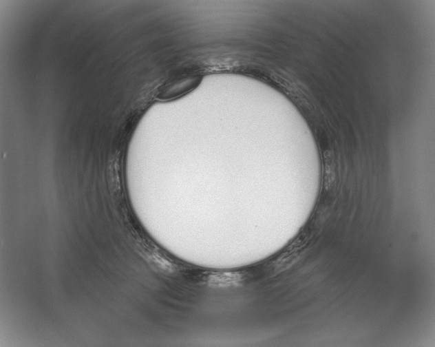 X0000067330369200604281425