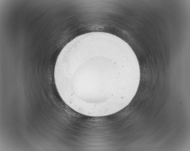X0000067330370200604281425