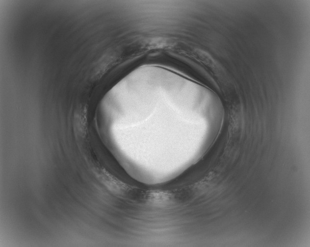 X0000067330376200604281425