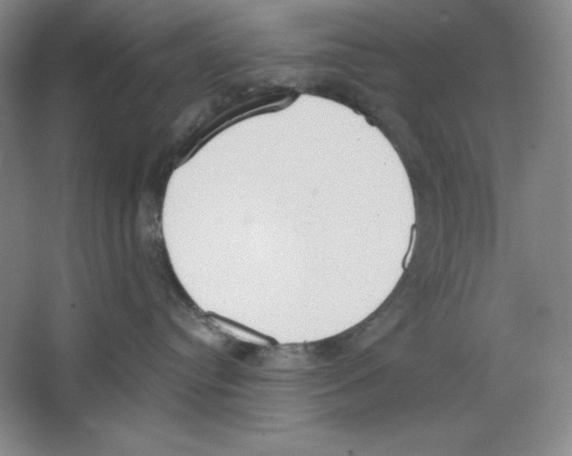 X0000067330384200604281425