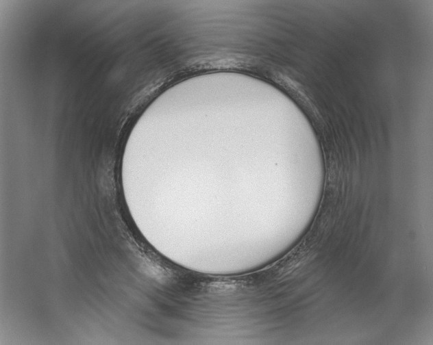 X0000067330394200604281424