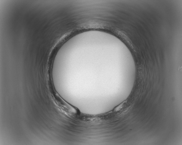 X0000067330395200604281424