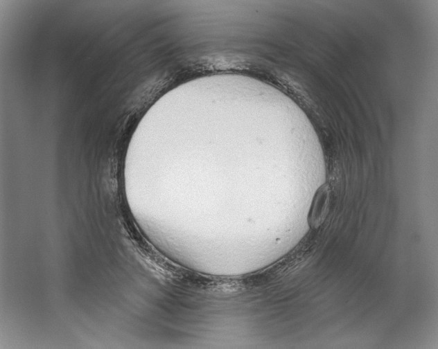 X0000067330402200604281424