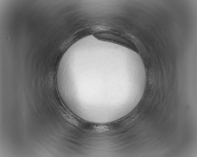 X0000067330409200604281424