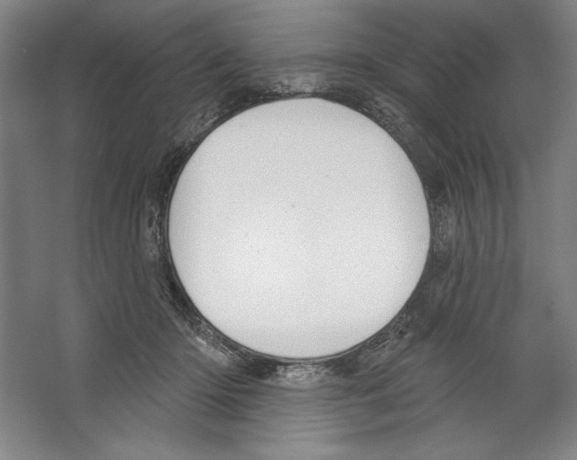 X0000067330414200604281424