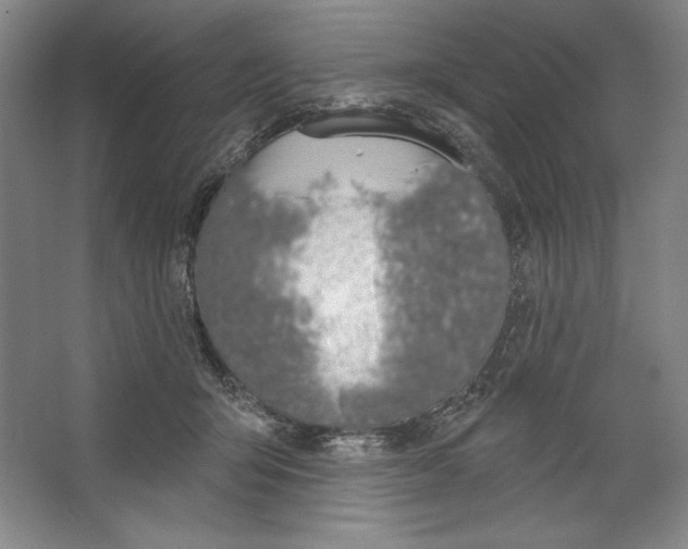 X0000067330415200604281424