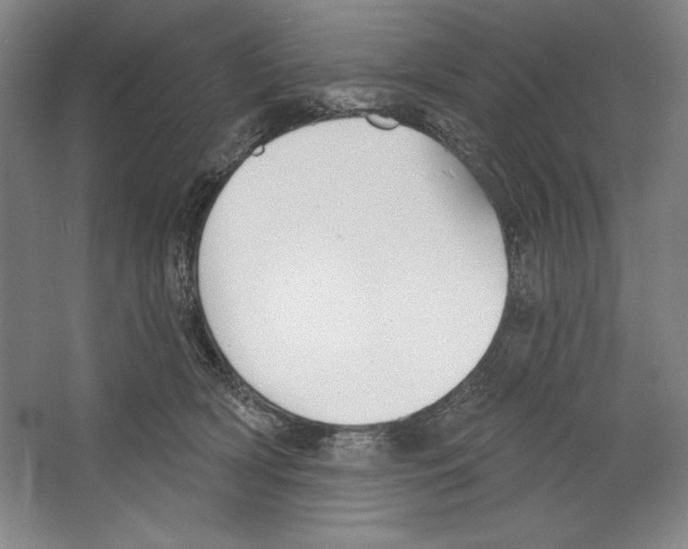 X0000067330418200604281424