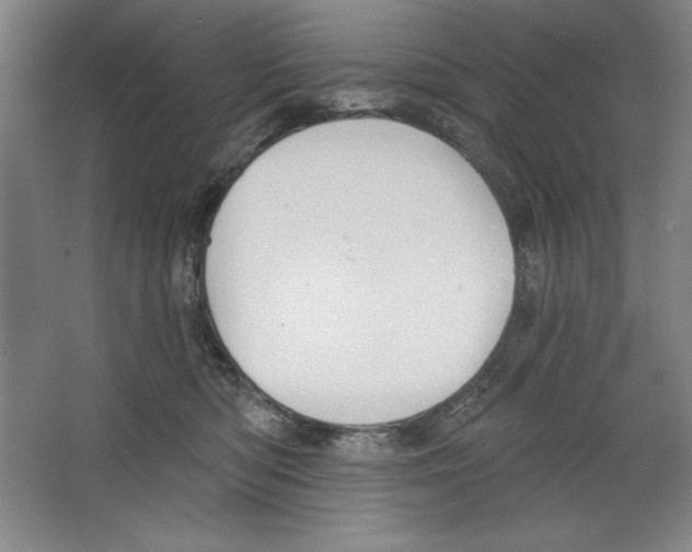 X0000067330422200604281424