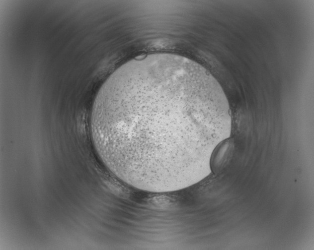 X0000067330423200604281424