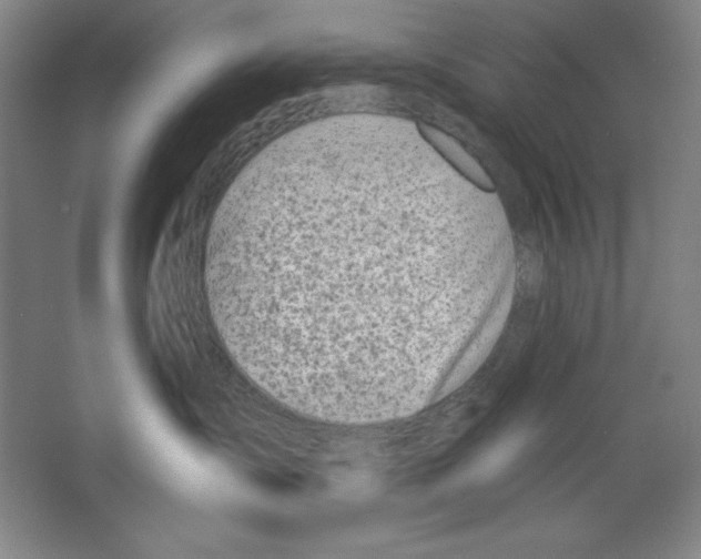 X0000067330431200604281424