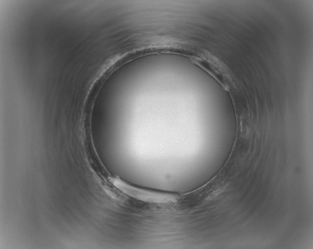 X0000067330436200604281423