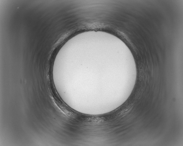 X0000067330443200604281423