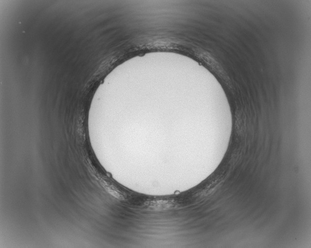 X0000067330449200604281423