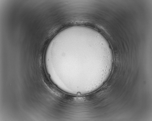 X0000067330451200604281423